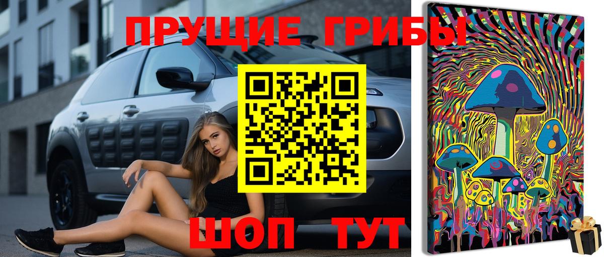 Сургут  Галлюциногенные грибы MAGIC MUSHROOMS  купить   Вход с VPN 